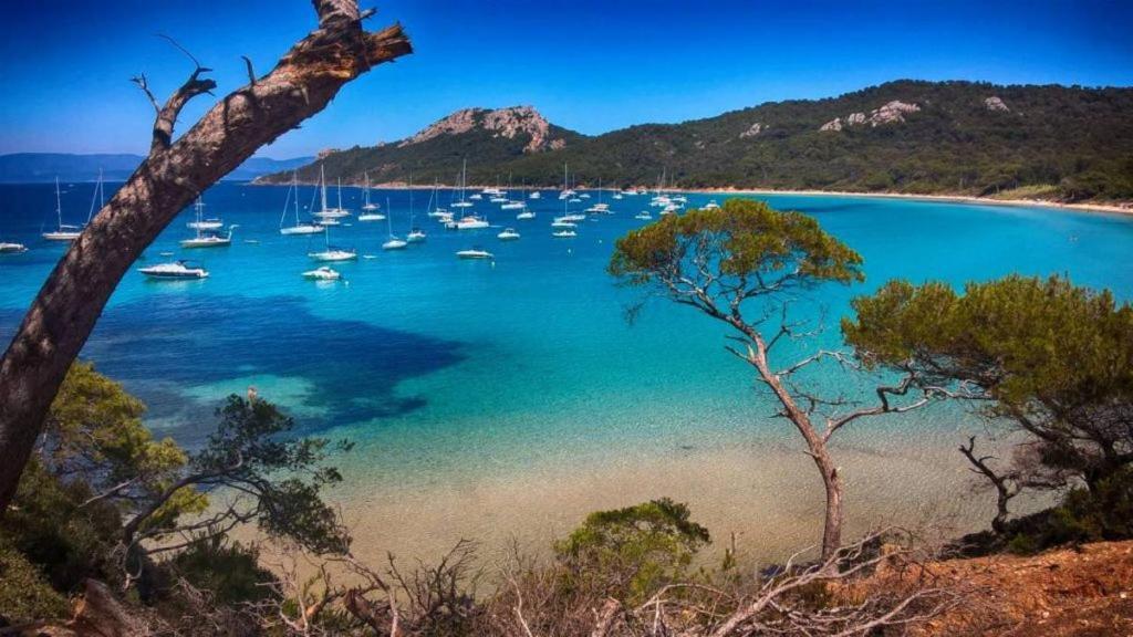 Les Pieds Dans L'Eau Panzió Nizza Kültér fotó